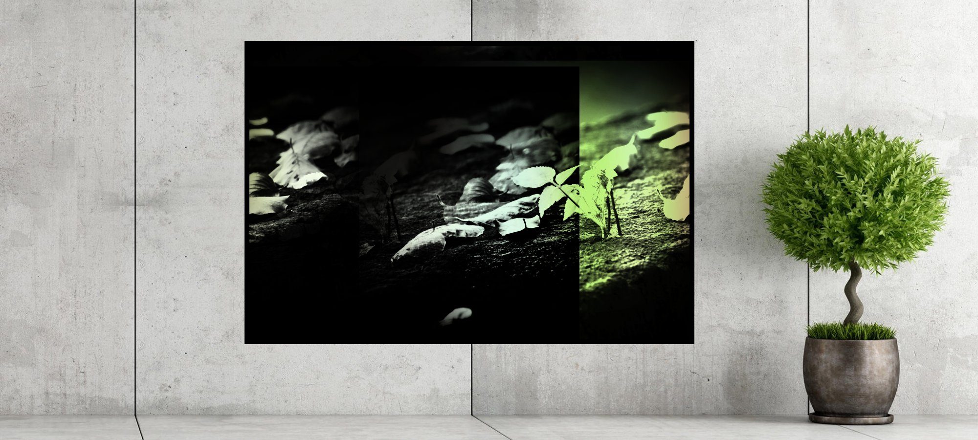 ArtCutMix-Fotokunst-Natur-1-2000